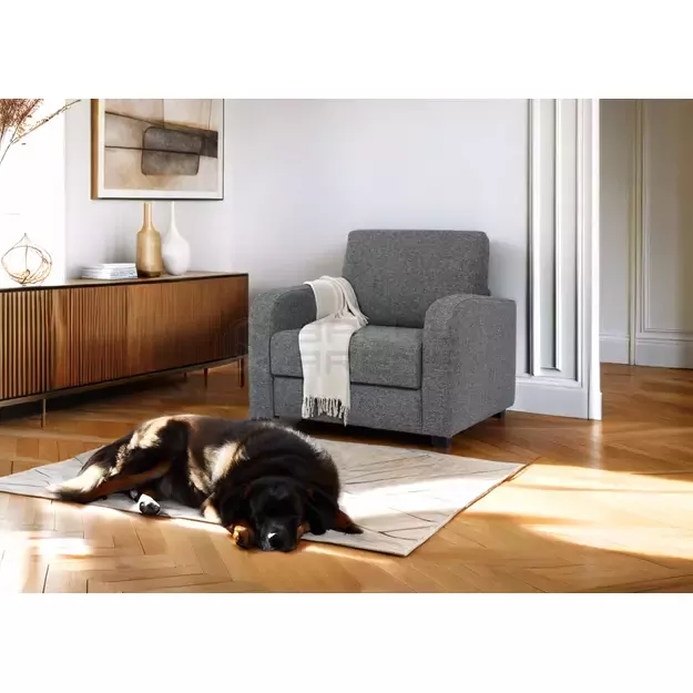 Miegamas fotelis Batwin