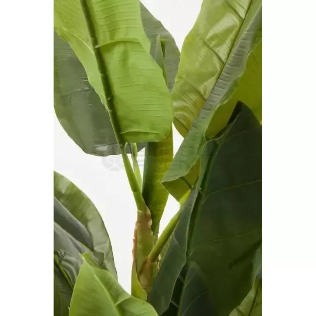 Dekoratyvinis dirbtinis augalas Banana Tree 180cm