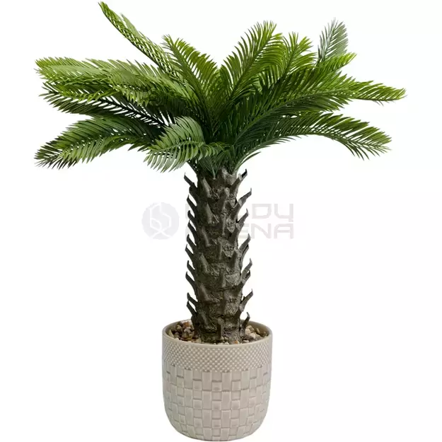 Dirbtinis augalas Cycas 70cm