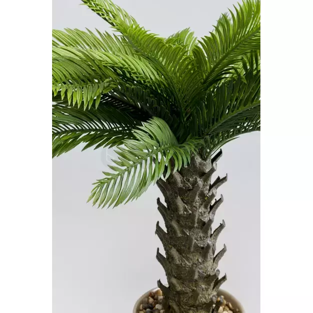 Dirbtinis augalas Cycas 70cm