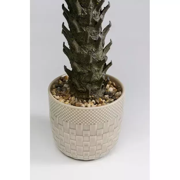 Dirbtinis augalas Cycas 70cm