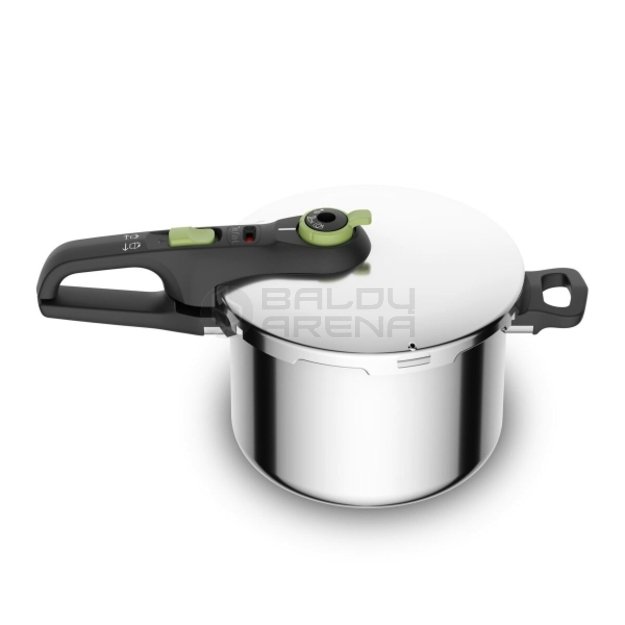 Greitpuodis Tefal TRENDY 6L Nerūdijantis plienas 6 L