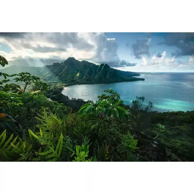 Puzzle 5000 Hawaiian Viewpoint - RAVENSBURGER dėlionė