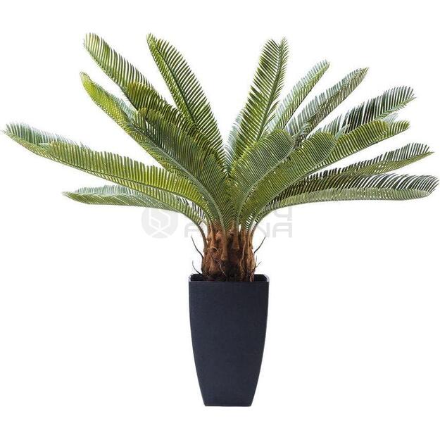 Dekoratyvinis dirbtinis augalas Cycas Tree 78cm