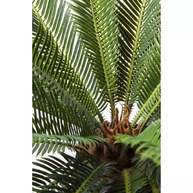 Dekoratyvinis dirbtinis augalas Cycas Tree 78cm