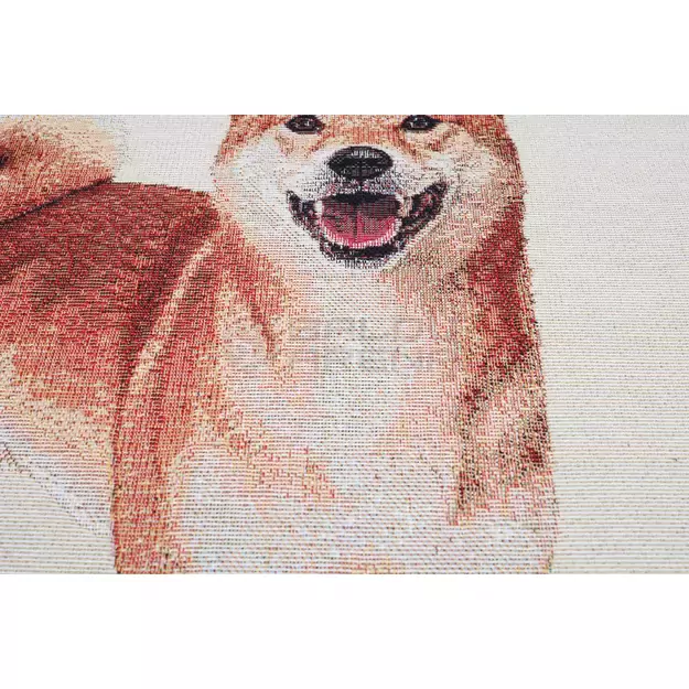 Pagalvės užvalkalas Akita 45x45 cm