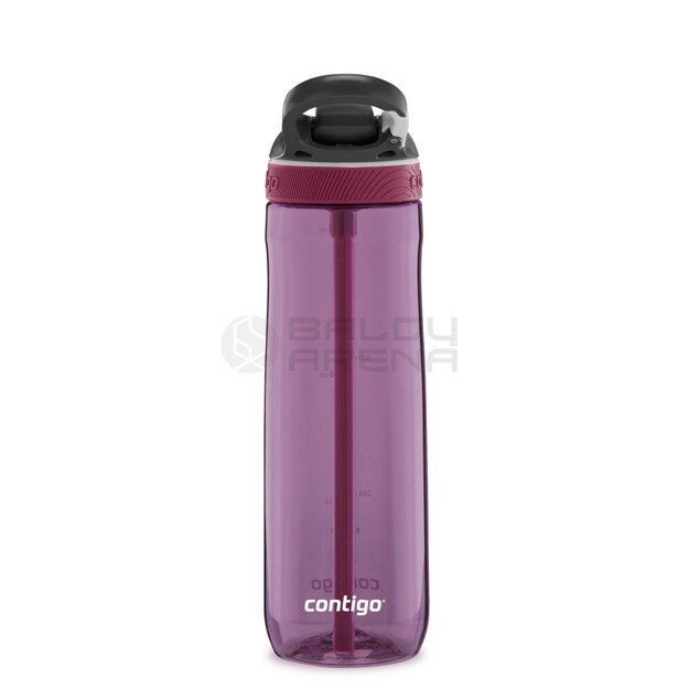 Gertuvė Ashland Passionfruit CON2191382, 720 ml 3