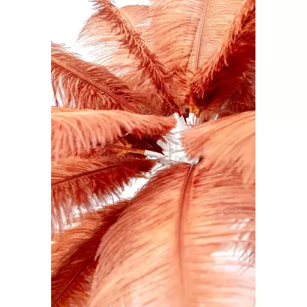 Stalinė lempa Feather Palm Brown 60cm