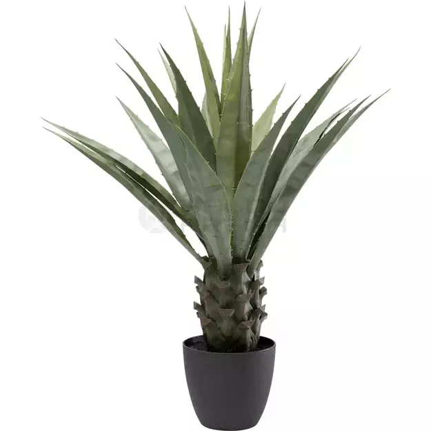 Dirbtinis augalas Agave 85cm