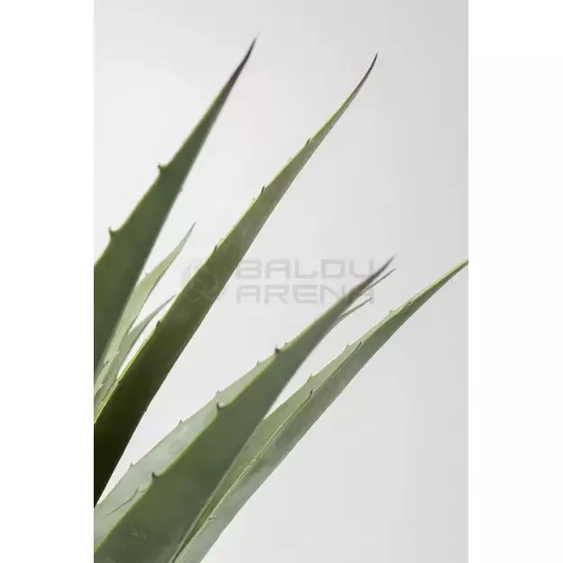 Dirbtinis augalas Agave 85cm