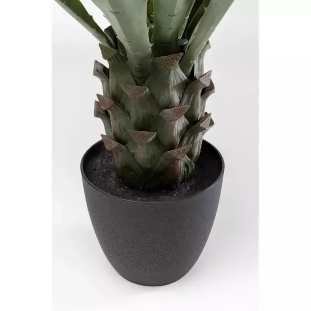 Dirbtinis augalas Agave 85cm