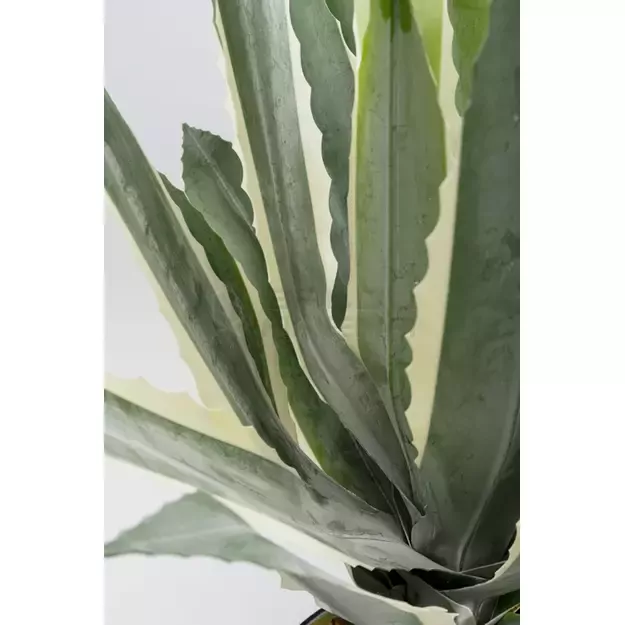 Dirbtinis augalas Agave 50cm